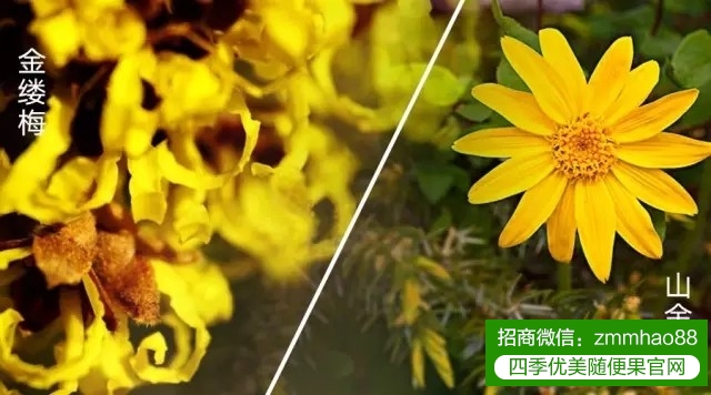 片言“纸”语话洗脸