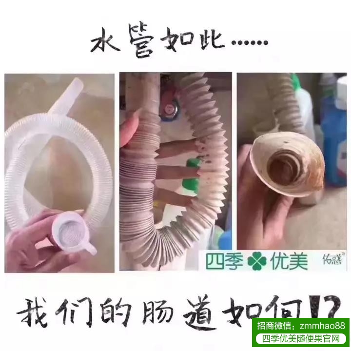 一个小视频告诉你肠道排毒的重要性，不便秘就不需要清肠排毒？！
